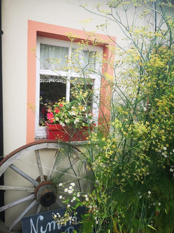 Ferienhof Plotzen Hochkirch المظهر الخارجي الصورة